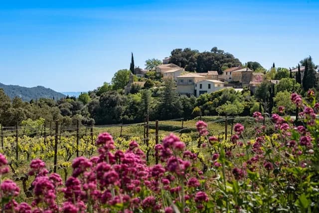 Mas provençal au milieu des fleurs et des vignes.